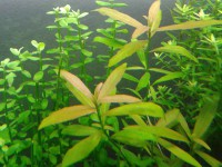 /album/fotogaleria/a2014-03-28-17-53-02-jpg/